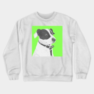 Jack Russell Crossbreed in Green Headshot Crewneck Sweatshirt